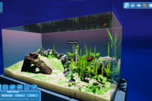 fish game