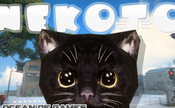 Nekoto