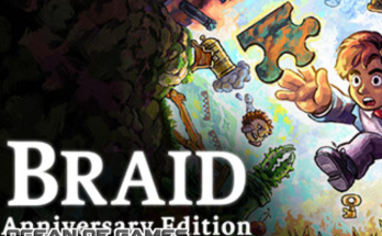Braid, Anniversary Edition