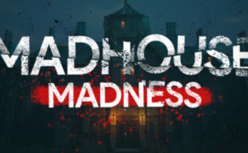 Madhouse Madness: Streamer's Fate
