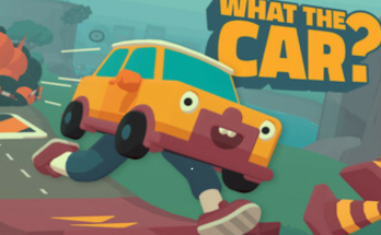 WHAT THE CAR?