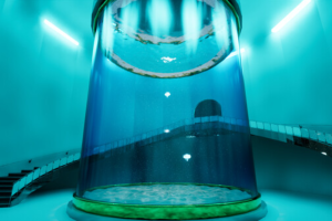 Aquarium at August 32nd 