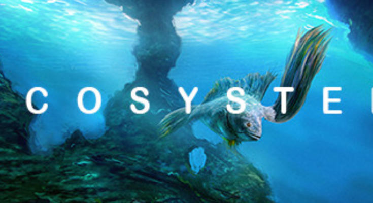 Ecosystem