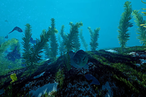 Ecosystem 