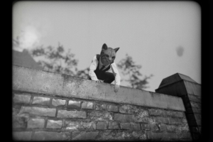 Cat Detective Albert Wilde 