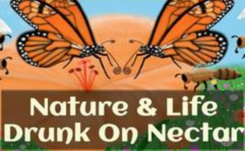 Nature And Life - Drunk On Nectar